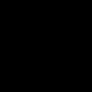 Meet your Posher, Bob